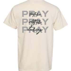 Destiny Church Comfort Colors Heavyweight Short Sleeve T-shirt - Pray